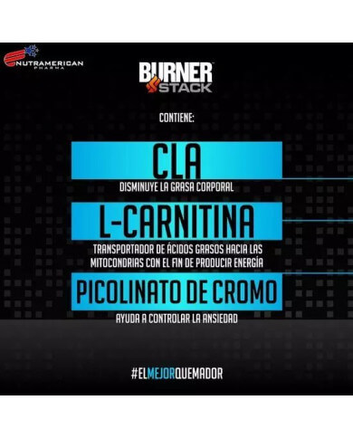Burner stack componentes descripción Burner stack componentes descripción