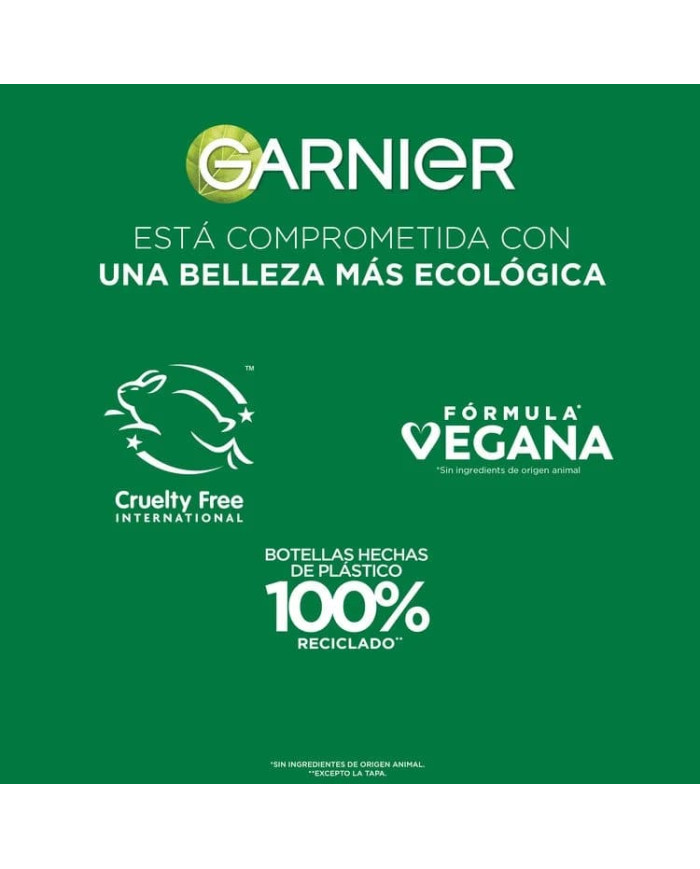 Shampoo Garnier Fructis Sleek & Shine Antifrizz Shampoo Garnier Fructis Sleek & Shine Antifrizz